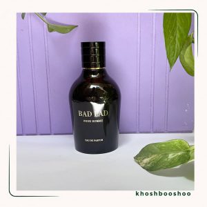 ادکلن مردانه کارولینا بدبوی فرگرانس 100 میل - خوشبوشو