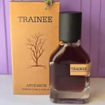 عطر مردانه تریینی آرتمیوس 100 میل