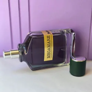 عطر مردانه مگاماره جسیکا 100 میل