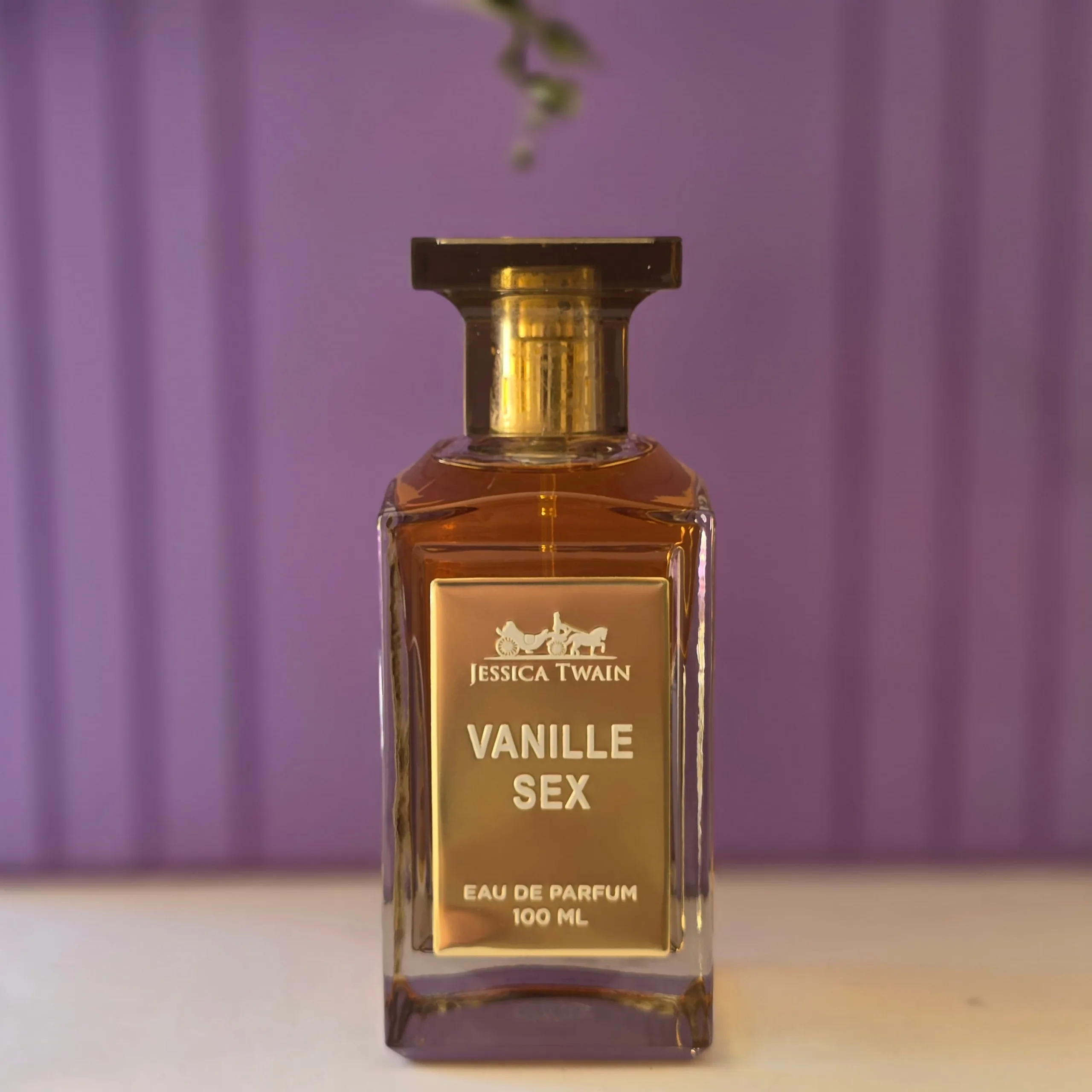 عطر ادکلن زنانه تام فورد وانیلا سکس (VANILLE SEX) از برند جسیکا 100میل ادکلن زنانه تام فورد وانیلا سکسی جسیکا 100میل