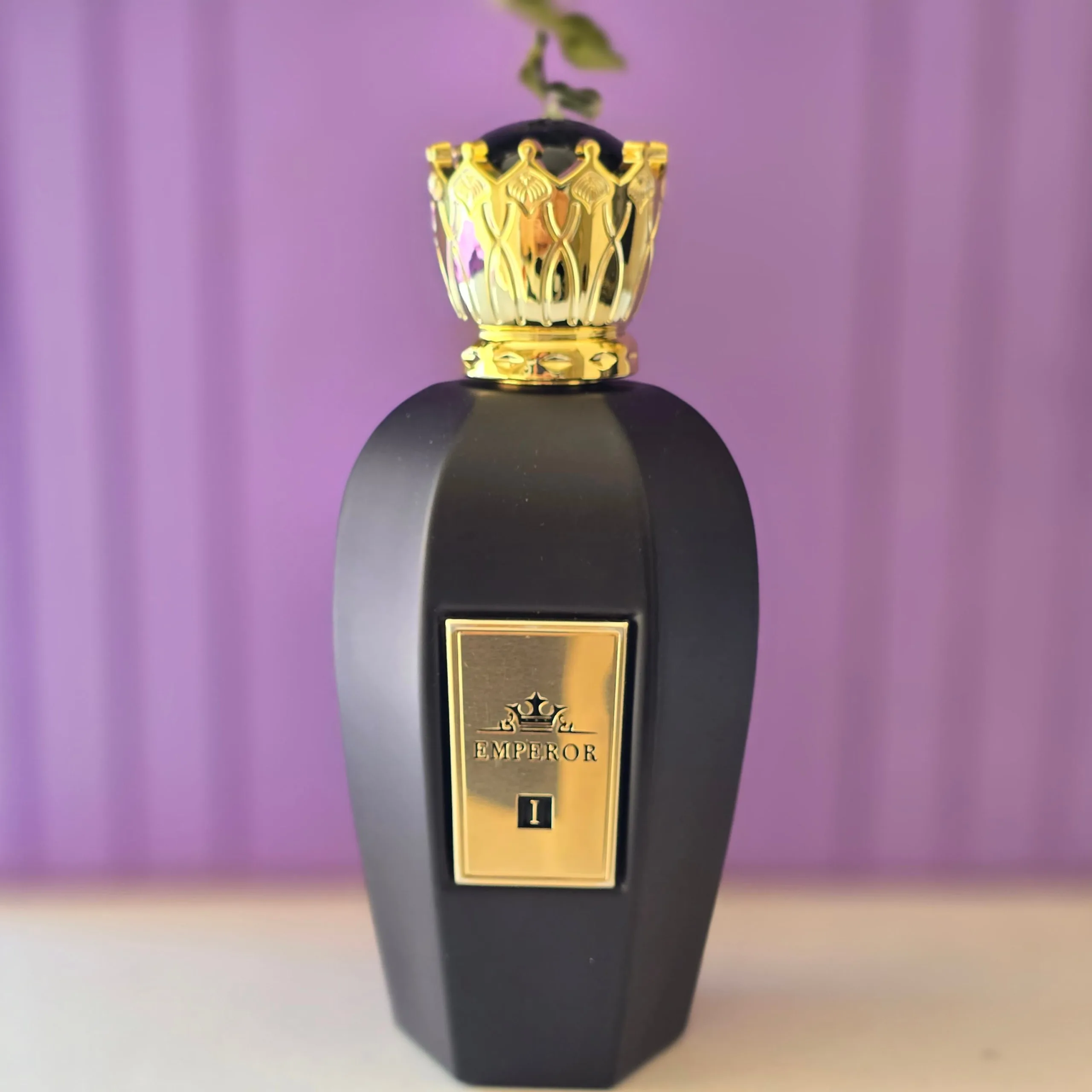 عطر ادکلن مردانه کوروش (Emperor1) فراگرنس 100میل مشابه کرید اونتوس ادکلن مردانه کوروش فراگرنس 100میل کرید اونتوس