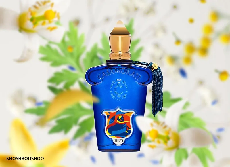 ادکلن کازاموراتی مفیستو از رایحه‌های مرکباتی