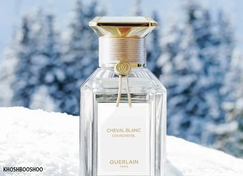 تعریف و ویژگی عطرهای سرد