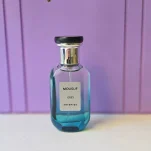 عطر ادکلن مردانه موصوف خاکستری (GREY) آرتمیوس 25 میل