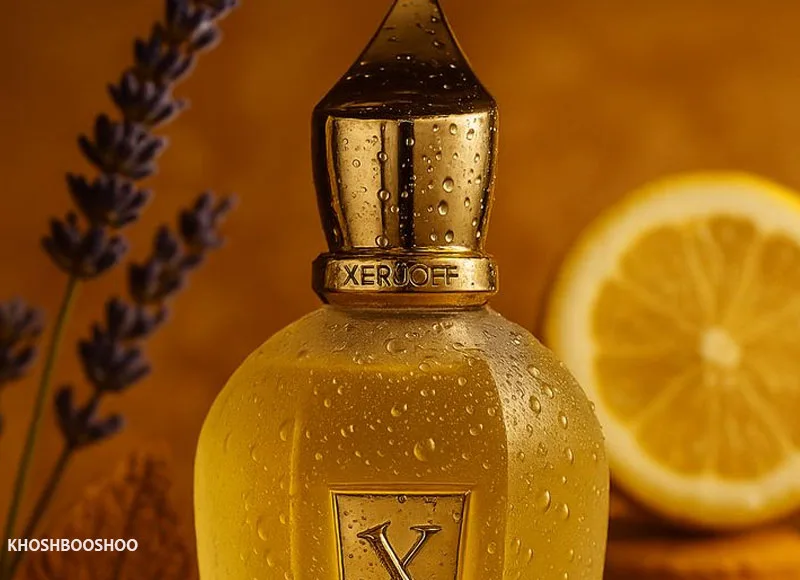 نت‌ های میانی  (Heart Notes) هر عطر
