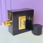 عطر ادکلن مردانه بلو شنل فراگرنس 100 میل (Fragrance World Canale Di Blue)