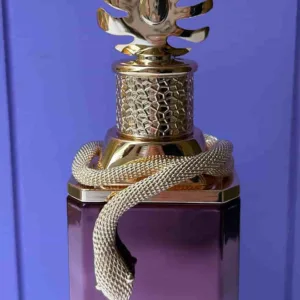 ادکلن اسپرت افیدین بلک چری پاریس کرنر - Image 3