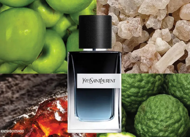 دسته‌بندی عطرهای مردونه ترش بر اساس منبع رایحه - خوشبوشو